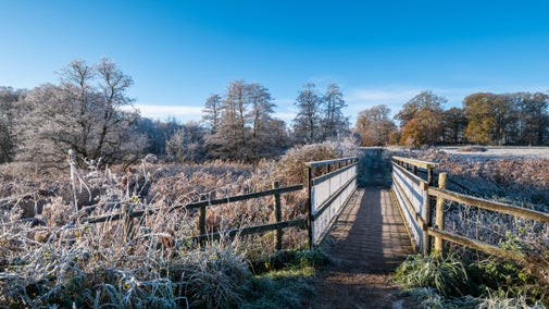 Footbridge through a frost-covered winter landscape at Felbrigg, Norfolk